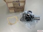 Waterpomp  Austin Metro CAM4256SLP, Auto-onderdelen, Ophalen of Verzenden, Nieuw, Austin