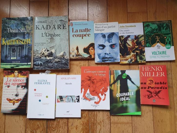 Lot de 370 livres pour 0,05 euros par livre, Boeken, Romans, Gelezen, Ophalen