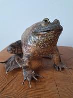 Préparation Bullfrog, Enlèvement ou Envoi