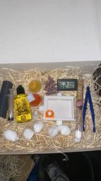 démarrage Lasius Niger pour fourmis dans un coffret cadeau, Animaux & Accessoires, Insectes & Araignées, Fourmis