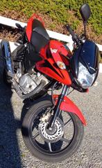 Honda 125 CBF, Motoren, Motoren | Honda, 125 cc, Sport, Particulier