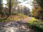 TK Mooi Woudperceel Florennes 80km.v.Brussel, Immo, Gronden en Bouwgronden, Florennes, Verkoop zonder makelaar, 1500 m² of meer