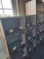 10 KWEEKKOOIEN voor KANARIES e.a. VOGELS .  ( NIEUW )