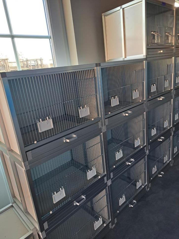 10 KWEEKKOOIEN voor KANARIES e.a. VOGELS .  ( NIEUW ), Dieren en Toebehoren, Vogels | Kanaries
