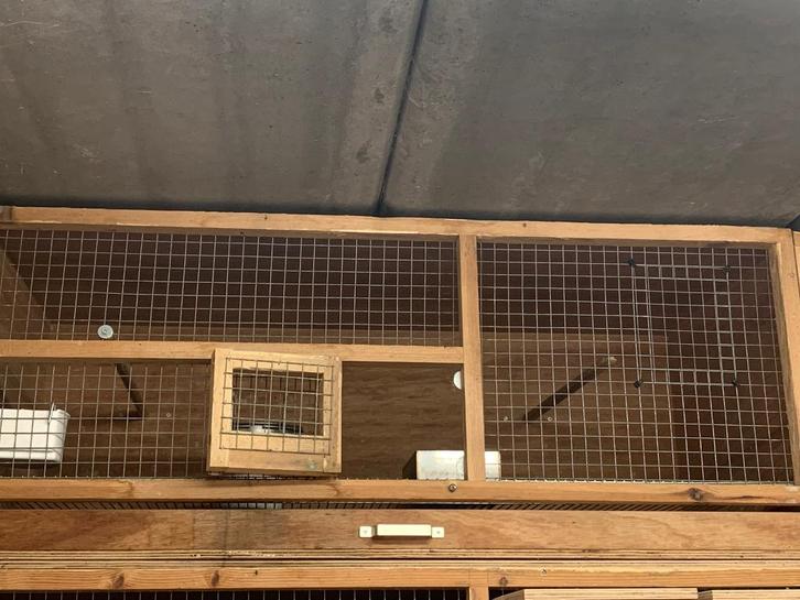 Kweekkooien, Dieren en Toebehoren, Vogels | Hokken en Kooien, Ophalen