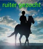 Ruiter gezocht regio Spiere-Helkijn, Ruin, Niet van toepassing, 160 tot 165 cm, 11 jaar of ouder