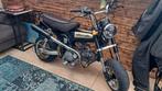Honda dax 125cc daytona 150 jincheng, Particulier