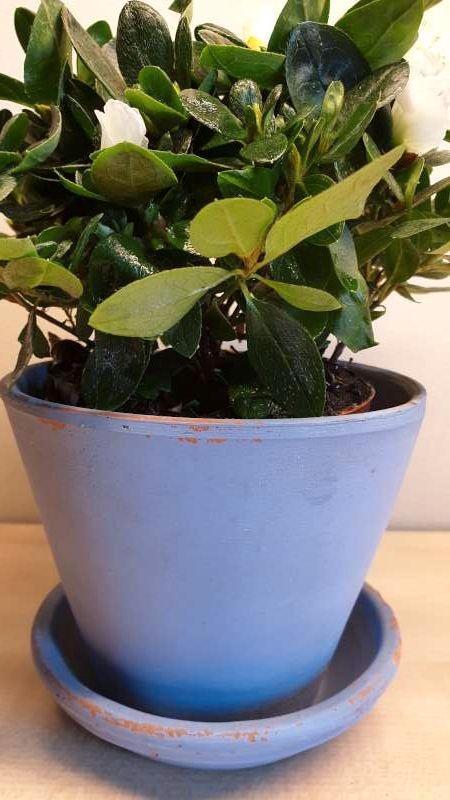 Bloempot, blauw beschilderd, hoogte 11cm, binnen diam 11,5cm, Tuin en Terras, Bloempotten, Binnen, Ophalen