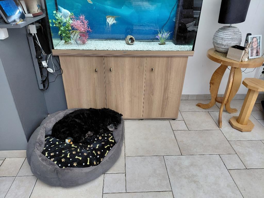 Aquarium avec meuble, Enlèvement, Comme neuf, Aquarium vide