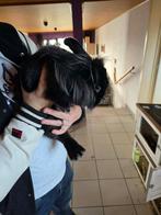 Konijn met hok, Vrouwelijk, Middelgroot, 0 tot 2 jaar