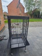 Kooi voor parkiet, Dieren en Toebehoren, Vogels | Hokken en Kooien, Ophalen