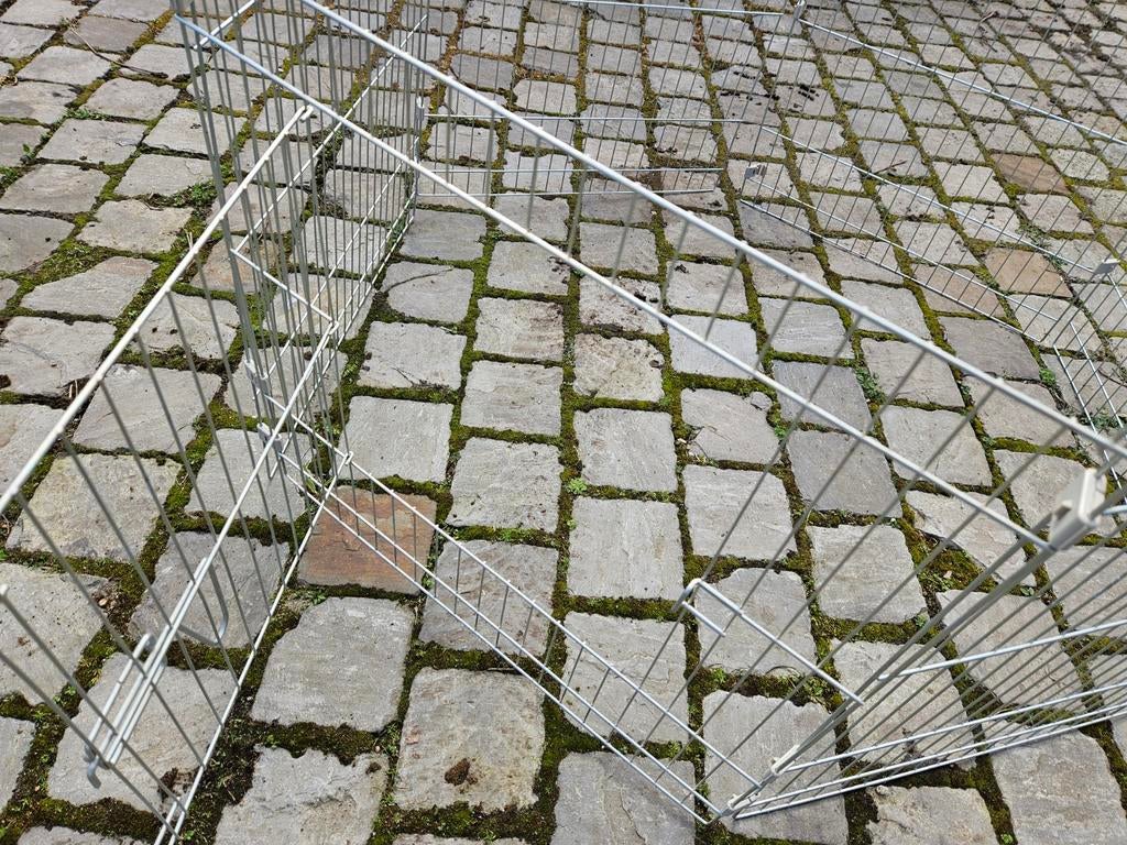 Lapins, ., Comme neuf, Cobaye, Enlèvement