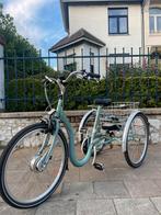 Tricycle à assistance électrique Tri-Bike état neuf, Enlèvement ou Envoi, Comme neuf