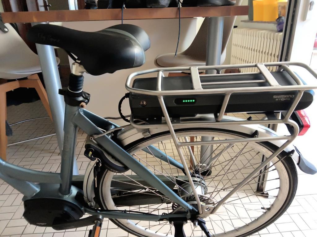 E-bike Shimano Steps, Vélos & Vélomoteurs, Vélos électriques, Enlèvement