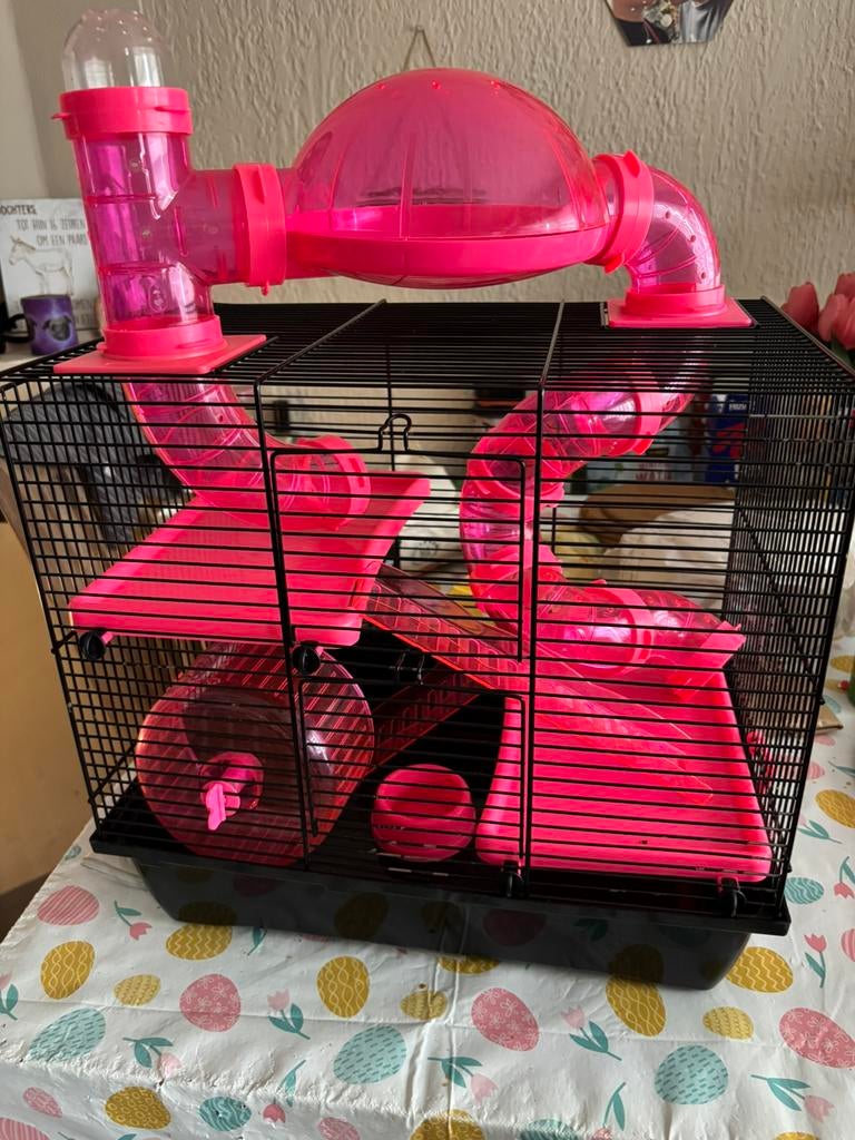 Kooi hamster , muis, Dieren en Toebehoren, Ophalen, Zo goed als nieuw, Kooi, Hamster