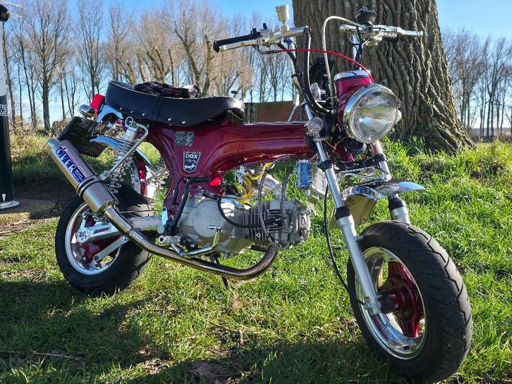 honda motodax 140YX, Motoren, Motoren | Honda, Particulier, Ophalen