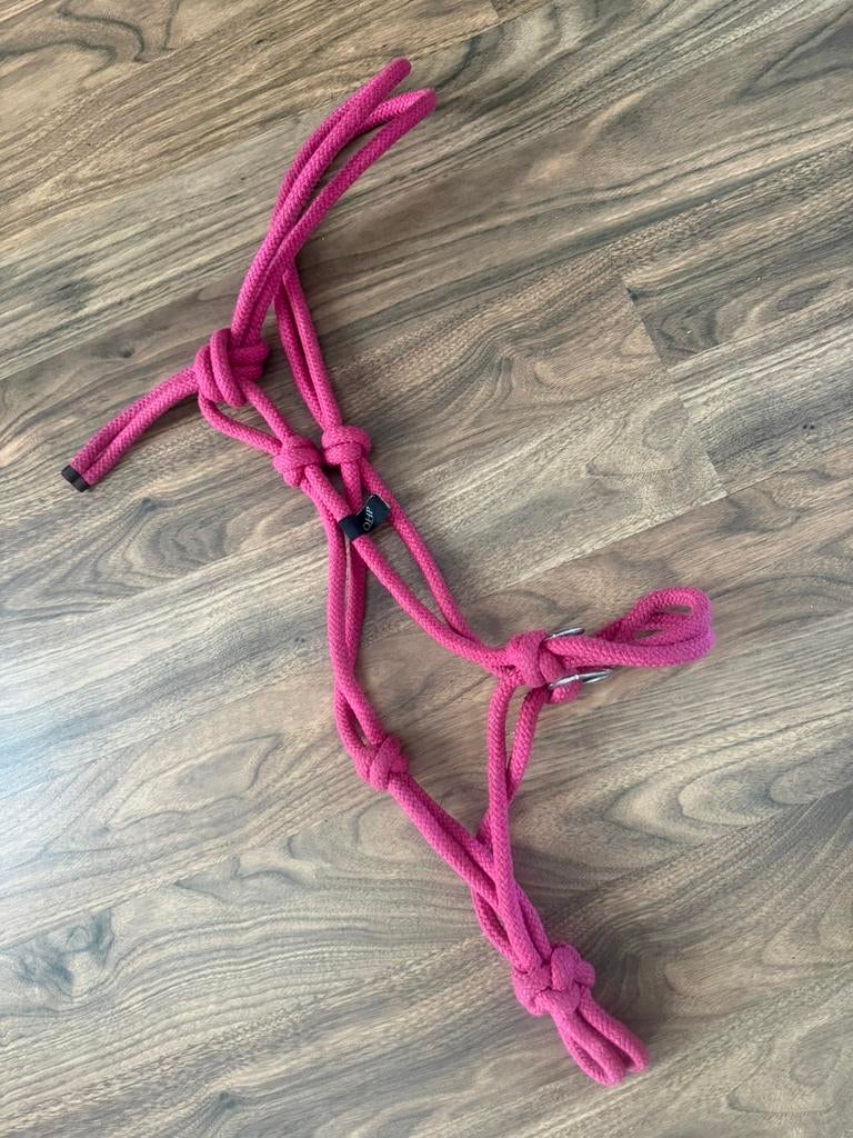 Licol avec rênes, Animaux & Accessoires, Enlèvement ou Envoi, Comme neuf