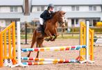 5j C pony met uitzonderlijk springvermogen, Dieren en Toebehoren, Merrie, Springpony, 3 tot 6 jaar, C pony (1.27m tot 1.37m)