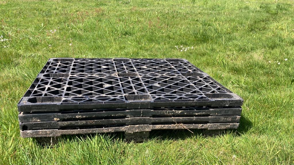 Gratis plastiek paletten , chep model ( +- 1,10 x 1,10 ), Doe-het-zelf en Bouw, Ophalen, Gebruikt