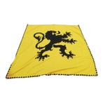 Vlaamse leeuw - vaandel/muurdecoratie (I), Enlèvement ou Envoi, Autres, Drapeau ou Bannière