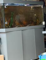 Aquarium en onderkast jewel 450 = 150 cm, Animaux & Accessoires, Poissons | Aquariums & Accessoires, Enlèvement, Comme neuf, Aquarium vide
