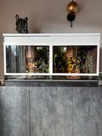 Palludarium met pijlgifkikkers, Ophalen, Zo goed als nieuw