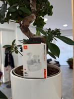 JBL Wave Beam wit, Ophalen of Verzenden, Nieuw, Op oor (supra aural), Bluetooth