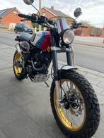 Bullit 125, Motos, Enlèvement