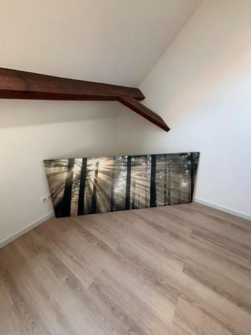Kader 80x200 beschikbaar voor biedingen