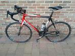 Racefiets Ridley Damocles, Fietsen en Brommers, Fietsen | Racefietsen, Ophalen, 28 inch, Gebruikt, Carbon
