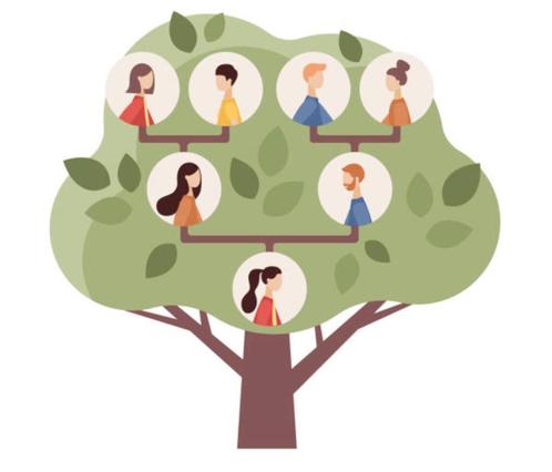 Trainingspakket voor genealogie, Boeken, Geschiedenis | Nationaal, Nieuw, Ophalen of Verzenden