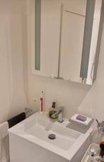 Detremmerie wasmeubel met spiegelkast, Huis en Inrichting, Badkamer | Badkamermeubels, 50 tot 100 cm, Minder dan 100 cm, 25 tot 50 cm