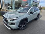 Toyota RAV-4 2.5 Hybr/AWD/LEDER/FULL OPT, Autos, Entreprise, 131 kW, Noir, 5 portes
