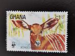 Ghana 1984 - wilde dieren - Bongo, Ophalen of Verzenden