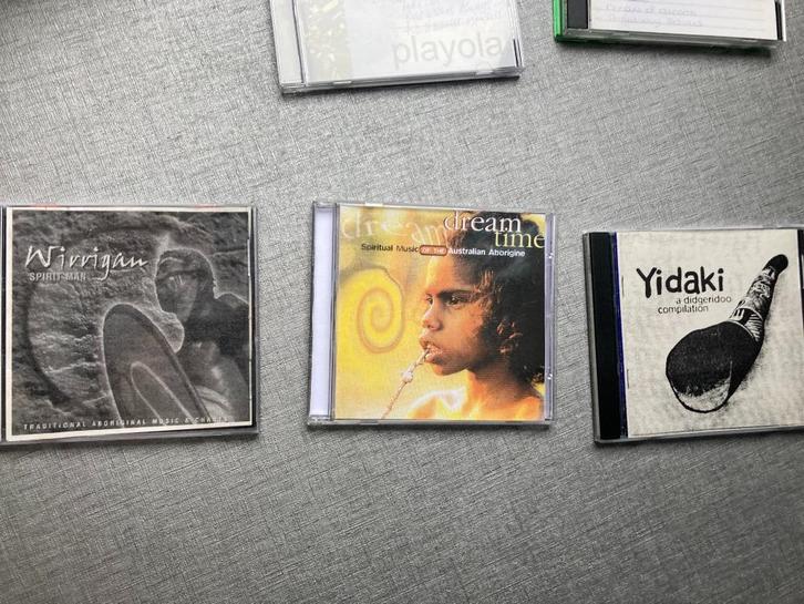 CD DIDGERIDOO, Muziek en Instrumenten, Blaasinstrumenten | Didgeridoos, Zo goed als nieuw, Ophalen of Verzenden