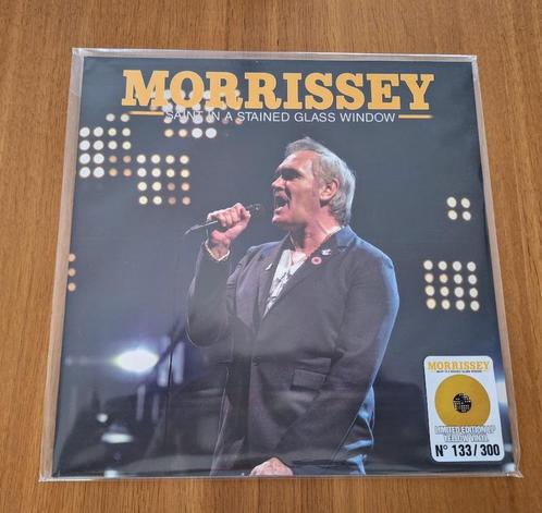 LP Morrissey - Saint In A Stained Glass Window, Cd's en Dvd's, Vinyl | Rock, Zo goed als nieuw, Alternative, 12 inch, Ophalen