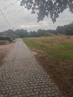 Weide 30 op 50 meter te huur paard of schapen te Testelt, Dieren en Toebehoren, Stalling en Weidegang, Weidegang, 1 paard of pony