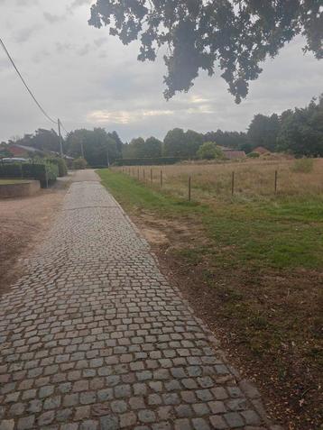 Weide 30 op 50 meter te huur paard of schapen te Testelt  beschikbaar voor biedingen