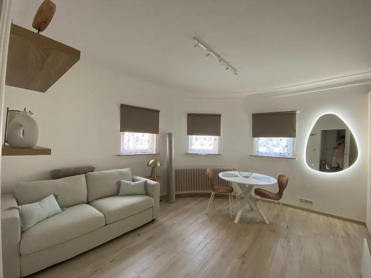 superbe studio totalement meublé et rénové, Immo, Appartementen en Studio's te huur, Brussel, 20 tot 35 m²