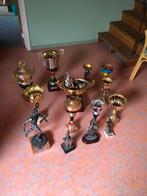 Verzameling trofeeen, Verzamelen, Sportartikelen en Voetbal, Ophalen