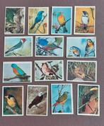 Prachtige reeks prenten Vogels. 239 stuks, Verzamelen, Ophalen of Verzenden