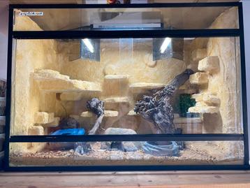Desert terrarium 80x40x57 beschikbaar voor biedingen