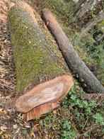 2 stammen es, Tuin en Terras, Brandhout, Ophalen, Stammen