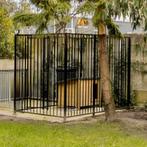 Hondenhok Hondenren, Ophalen, Hondenkennel, 110 cm of meer, 100 cm of meer