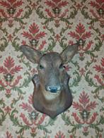 Tête de biche, Enlèvement