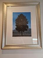 Le Seize Septembre (The Sixteenth of September) Magritte, Antiek en Kunst, Ophalen of Verzenden