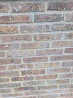 Scheldestenen gezocht, Doe-het-zelf en Bouw, Metselstenen, Ophalen