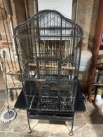Cage perroquet, Animaux & Accessoires, Enlèvement