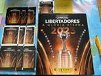 Panini Copa libertadores 2023 : hardcover album + zakjes, Hobby en Vrije tijd, Ophalen of Verzenden, Zo goed als nieuw, Meerdere stickers