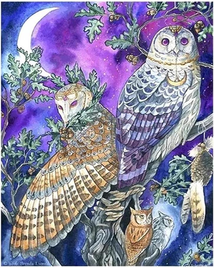 Diamond Painting uil 40x30cm, Hobby en Vrije tijd, Knutselen, Nieuw, Knutselwerk, Verzenden